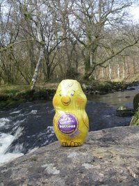 Tryweryn Safari Easter Egg Hunt