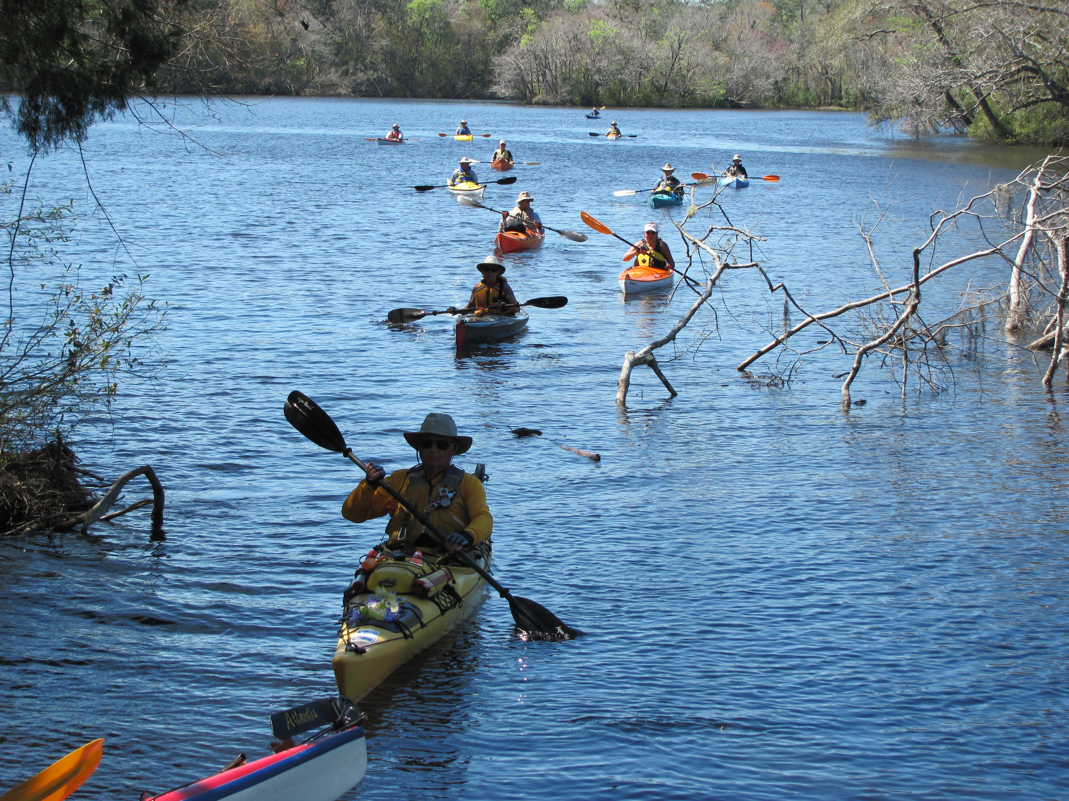 Wild, Wonderful Withlacoochee