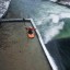 There is more city surfing in Munich on the Eisbach.