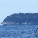 SUP and Sea Kayak off Owls Head